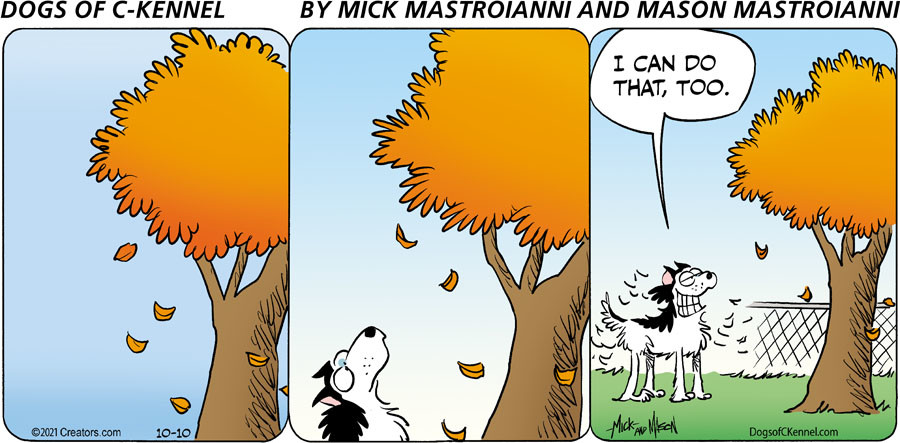 Dogs of C-Kennel for Oct 10, 2021