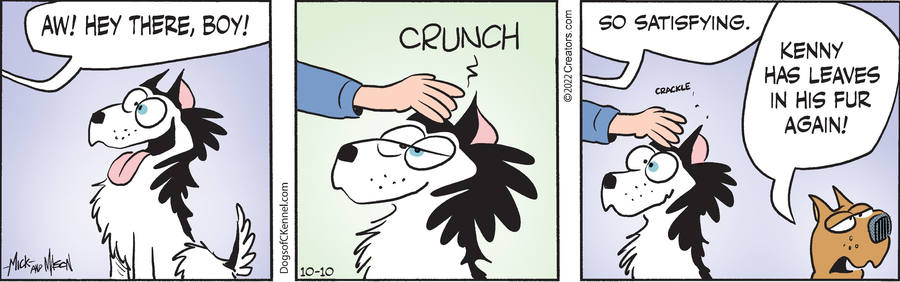 Dogs of C-Kennel for Oct 10, 2022