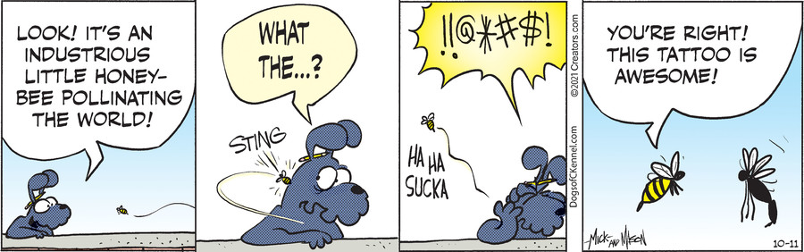 Dogs of C-Kennel for Oct 11, 2021