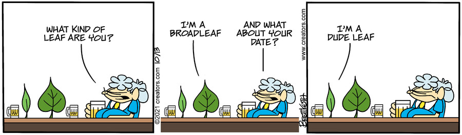 Diamond Lil for Oct 13, 2021