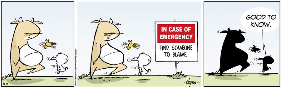 The Barn for Oct 14, 2022