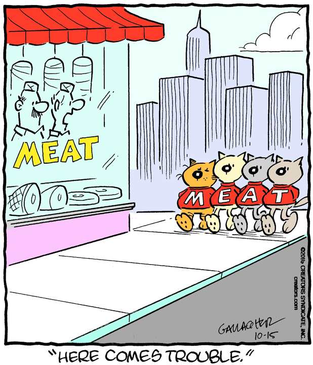 Heathcliff for Oct 15, 2022