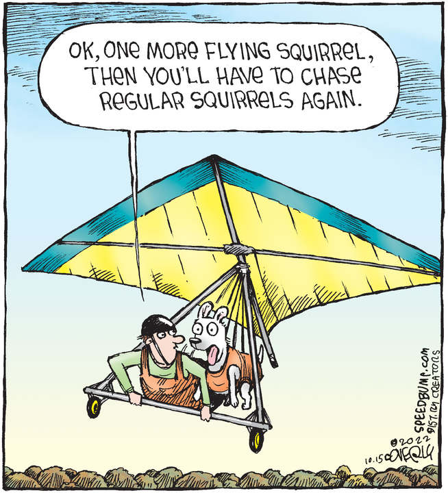 Speed Bump for Oct 15, 2022