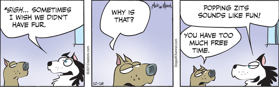 Dogs of C-Kennel for Oct 16, 2021