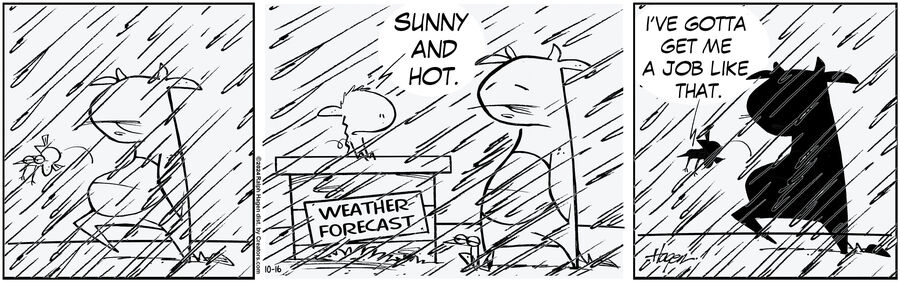 The Barn for Oct 16, 2024