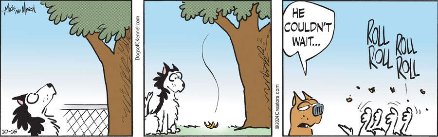 Dogs of C-Kennel for Oct 16, 2024