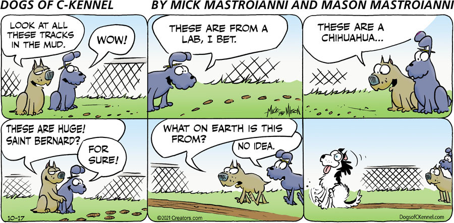 Dogs of C-Kennel for Oct 17, 2021