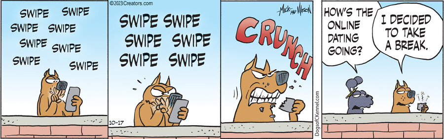 Dogs of C-Kennel for Oct 17, 2023
