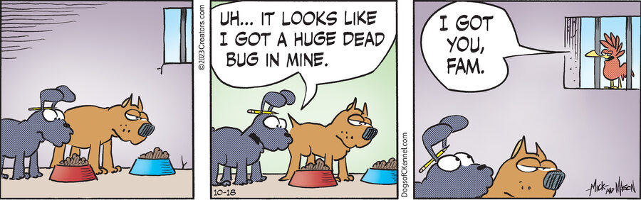 Dogs of C-Kennel for Oct 18, 2023