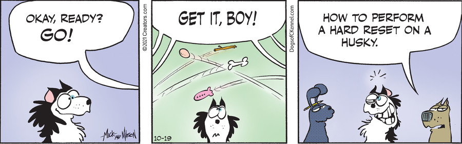 Dogs of C-Kennel for Oct 19, 2021