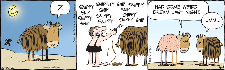 B.C. for Oct 19, 2022