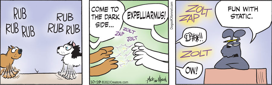 Dogs of C-Kennel for Oct 19, 2022