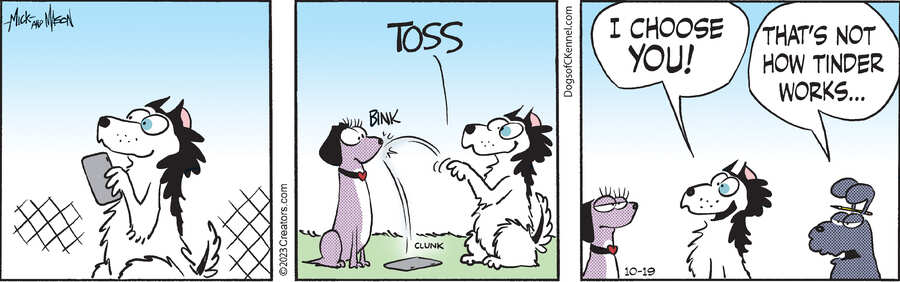 Dogs of C-Kennel for Oct 19, 2023