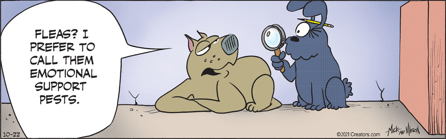 Dogs of C-Kennel for Oct 22, 2021