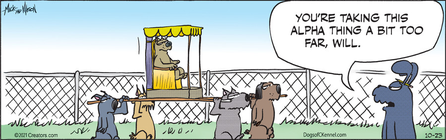 Dogs of C-Kennel for Oct 23, 2021