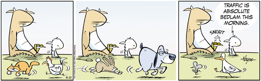 The Barn for Oct 23, 2023