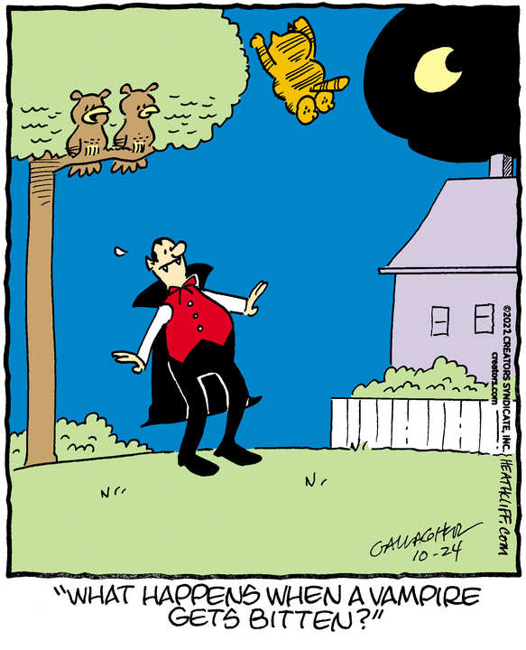 Heathcliff for Oct 24, 2022