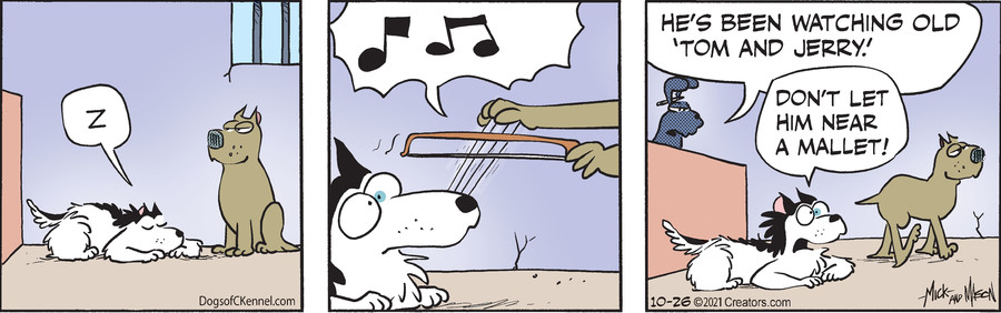 Dogs of C-Kennel for Oct 26, 2021