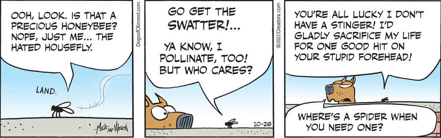 Dogs of C-Kennel for Oct 26, 2022