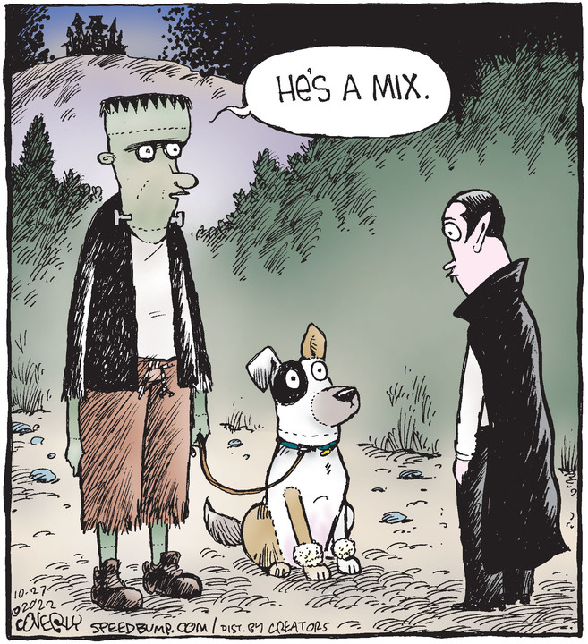 Speed Bump for Oct 27, 2022