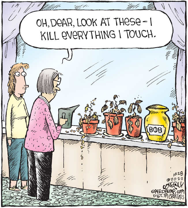 Speed Bump for Oct 28, 2022