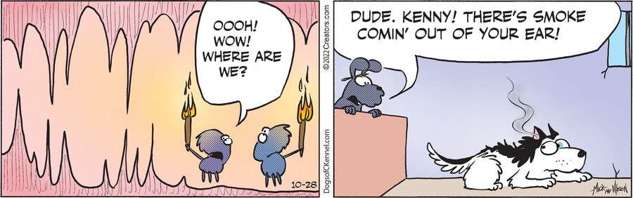 Dogs of C-Kennel for Oct 28, 2022