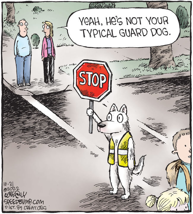 Speed Bump for Oct 31, 2022