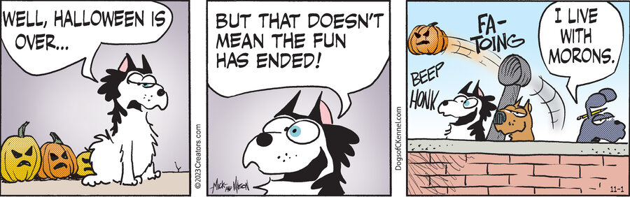 Dogs of C-Kennel for Nov 01, 2023