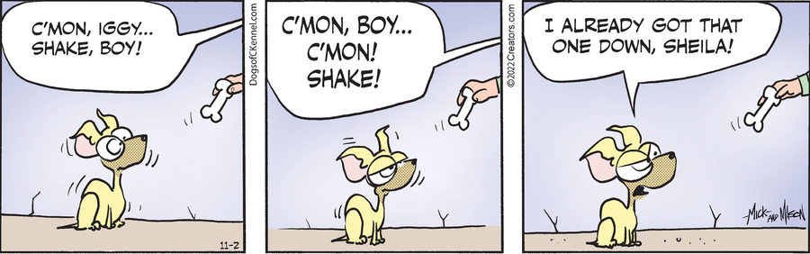Dogs of C-Kennel for Nov 02, 2022