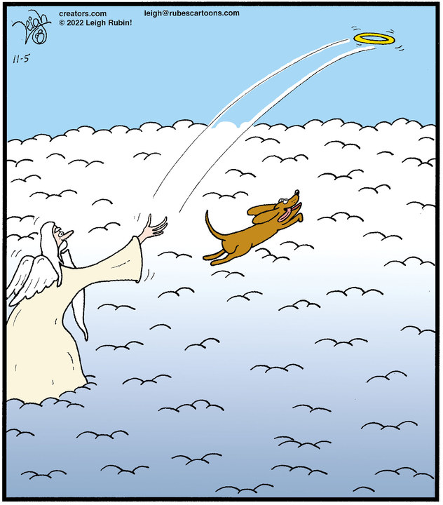 Rubes® for Nov 05, 2022