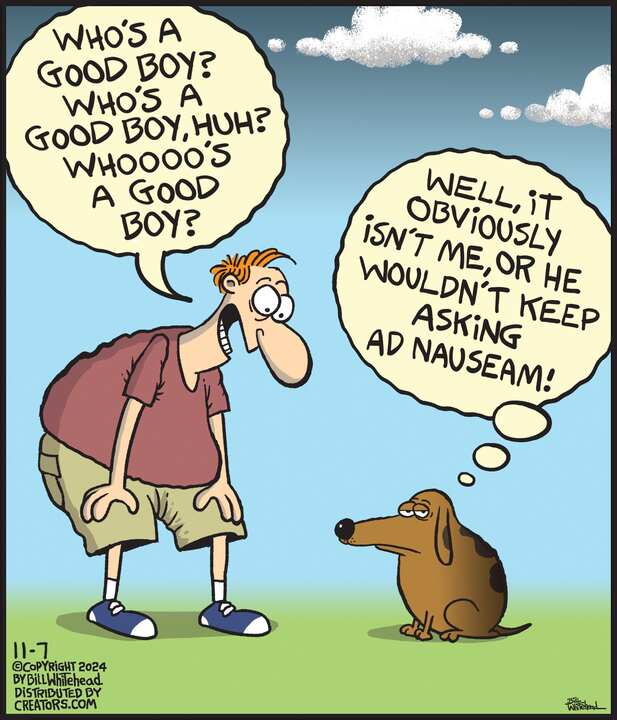 Free Range for Nov 07, 2024