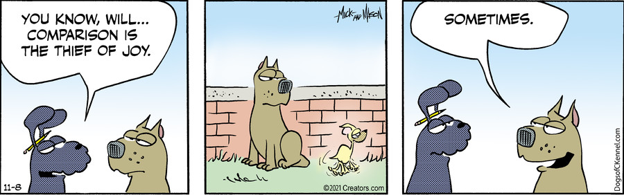 Dogs of C-Kennel for Nov 08, 2021