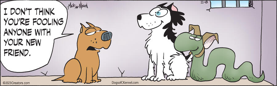 Dogs of C-Kennel for Nov 08, 2023