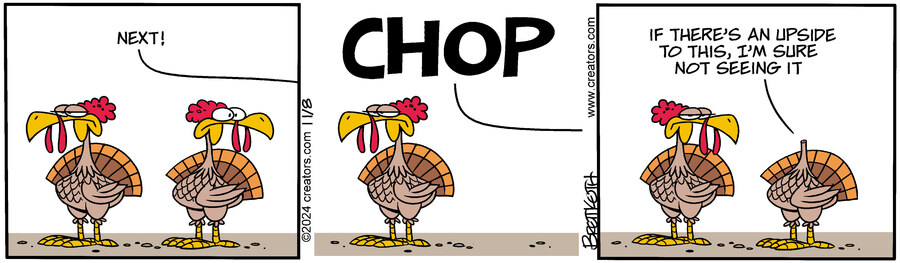 Diamond Lil for Nov 08, 2024