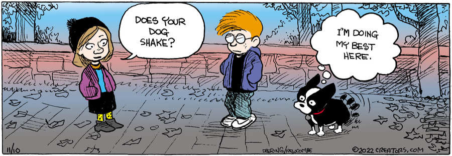 Zack Hill for Nov 10, 2022