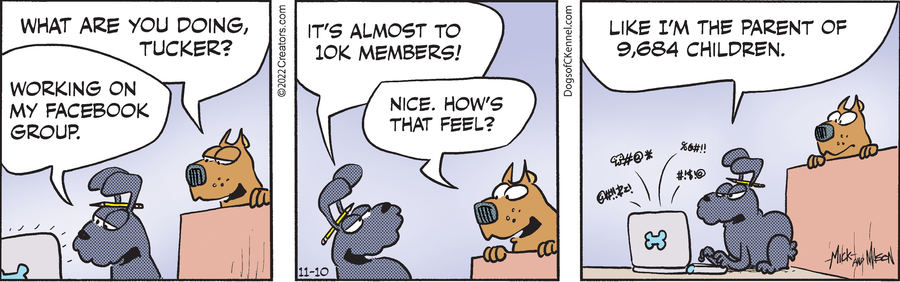 Dogs of C-Kennel for Nov 10, 2022