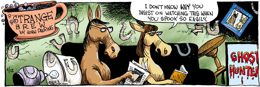 Strange Brew for Nov 12, 2023