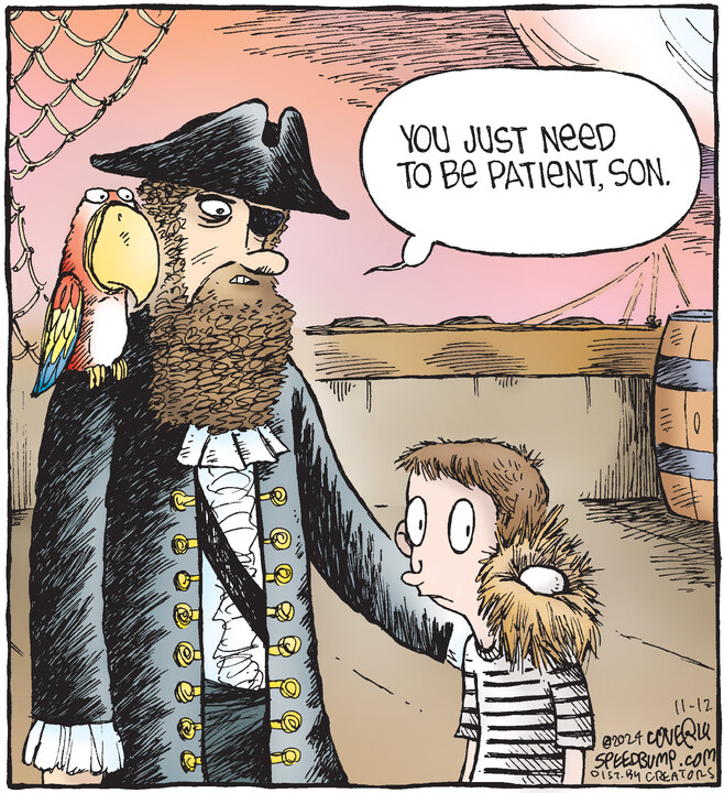 Speed Bump for Nov 12, 2024