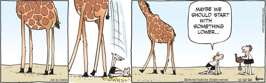 B.C. for Nov 12, 2024