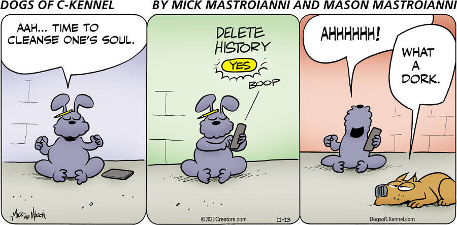 Dogs of C-Kennel for Nov 13, 2022