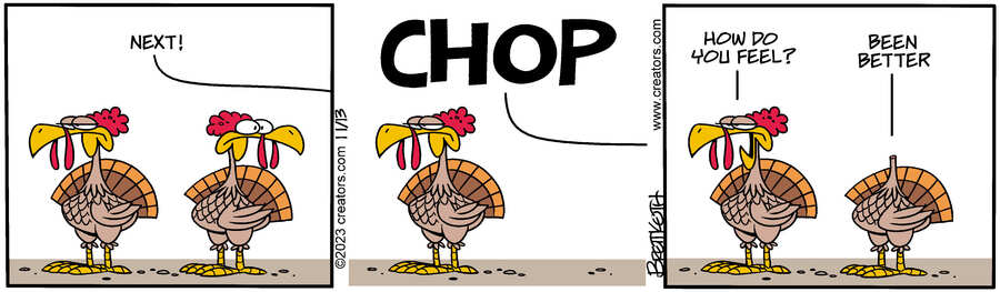 Diamond Lil for Nov 13, 2023