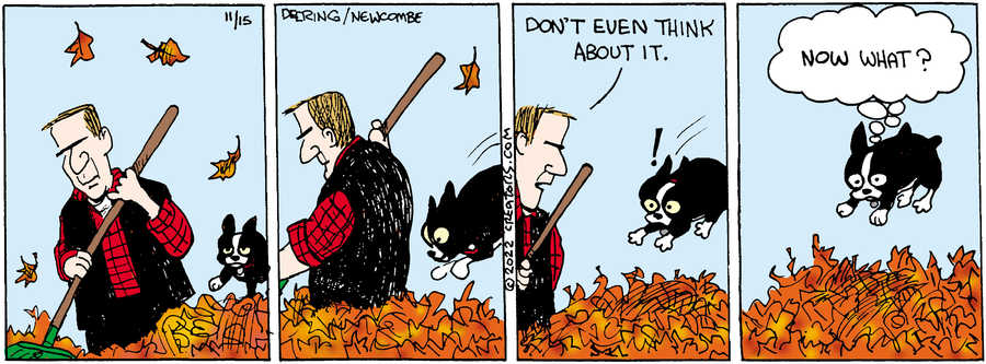 Zack Hill for Nov 15, 2022