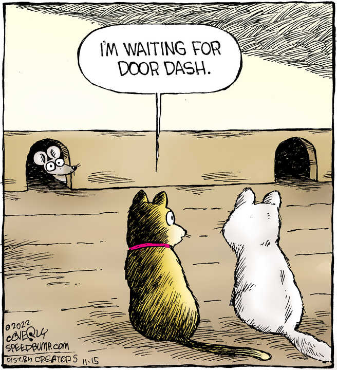 Speed Bump for Nov 15, 2022