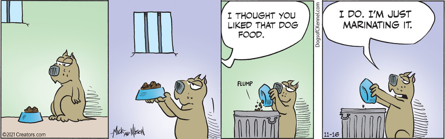 Dogs of C-Kennel for Nov 16, 2021