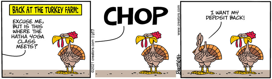 Diamond Lil for Nov 17, 2021