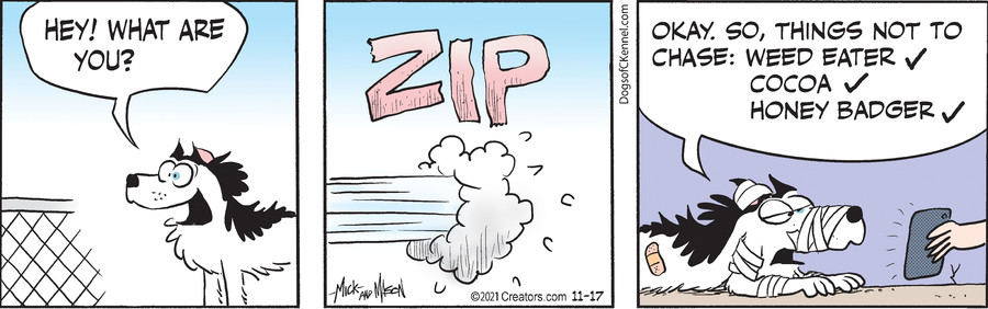 Dogs of C-Kennel for Nov 17, 2021