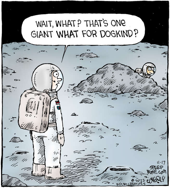 Speed Bump for Nov 17, 2022