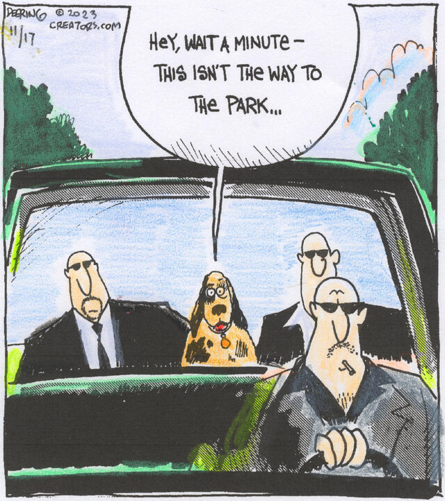 Strange Brew for Nov 17, 2023