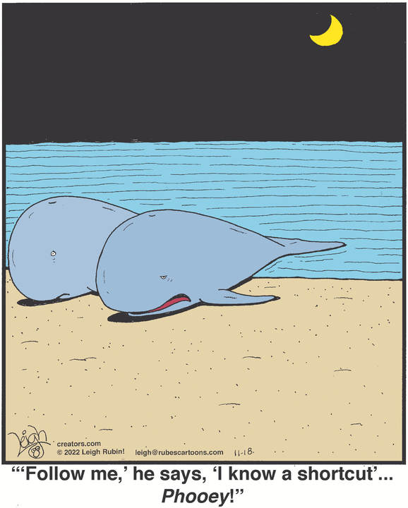 Rubes® for Nov 18, 2022