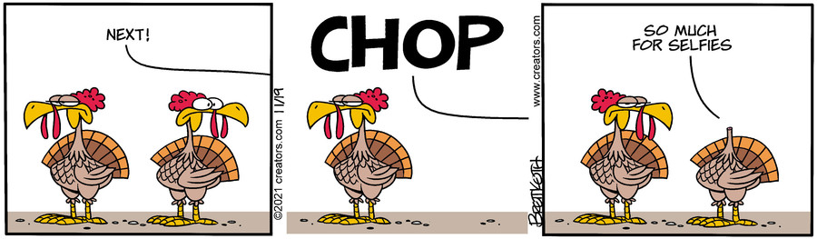 Diamond Lil for Nov 19, 2021